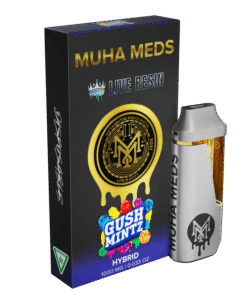 new muhas 2025